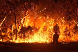 オーストラリア森林火災1